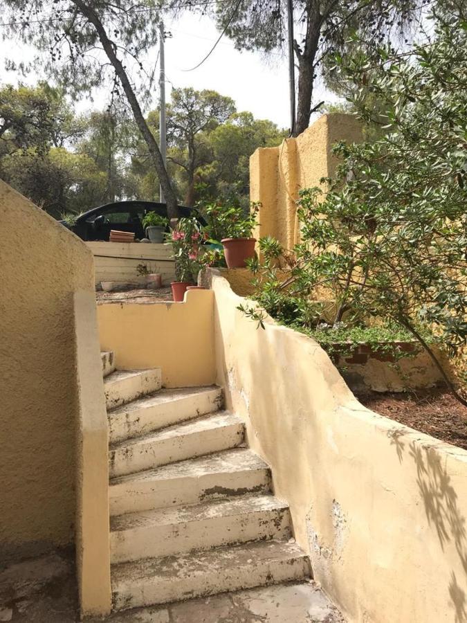 Vana Kavos Apartment Agia Marina  Exterior photo